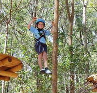 TreeTops Newcastle - Accommodation Georgetown