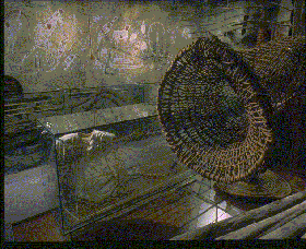 Australian Museum - Accommodation Georgetown 3