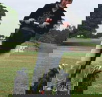 Segway Tours Australia - Accommodation Georgetown