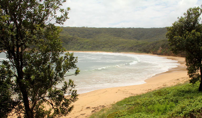 Macmasters Beach NSW Accommodation Georgetown