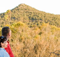 Piles Creek loop - Accommodation Georgetown