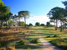 Glenelg Golf Club And Pinehill Bistro - Accommodation Georgetown 3