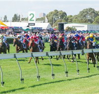 Morphettville Racecourse - Accommodation Georgetown