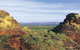 Mirima (Hidden Valley) National Park - thumb 3