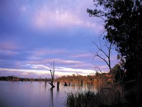 Loch Luna Game Reserve And Moorook Game Reserve - Accommodation Georgetown 0