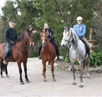 Academy of Dressage - Accommodation Georgetown