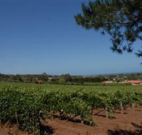 Grancari - Accommodation Georgetown