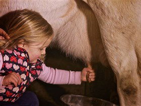Hahndorf Farm Barn - Accommodation Georgetown 1