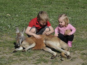 Hahndorf Farm Barn - Accommodation Georgetown 3