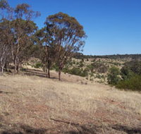 Onkaparinga River National Park - Accommodation Georgetown