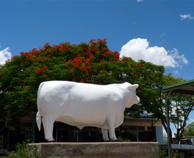 Aramac - The White Bull - Accommodation Georgetown 1