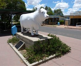 Aramac - The White Bull - Accommodation Georgetown 2