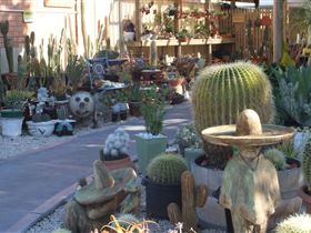 Cactus Creations - Accommodation Georgetown 0