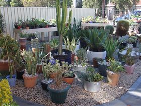 Cactus Creations - Accommodation Georgetown 1