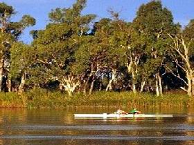 Martin Bend Reserve - Accommodation Georgetown 0