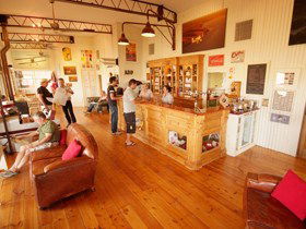 Adelaide Biplanes - Accommodation Georgetown 1