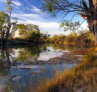 Murray River National Park - Accommodation Georgetown
