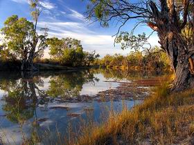 Murray River National Park - Accommodation Georgetown 0