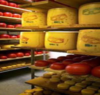 Alexandrina Cheese Company - Accommodation Georgetown