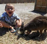 Animal Farm Goolwa - Accommodation Georgetown