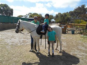 Animal Farm Goolwa - Accommodation Georgetown 2