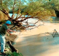 Charleville - Ward River Fishing Spot - Accommodation Georgetown