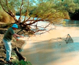 Charleville - Ward River Fishing Spot - Accommodation Georgetown 0