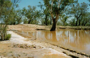 Charleville - Ward River Fishing Spot - Accommodation Georgetown 2