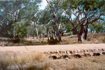 Charleville - Ward River Fishing Spot - Accommodation Georgetown 1