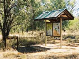  Accommodation Georgetown