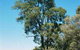 Charleville Self-Drive Itineraries - thumb 1