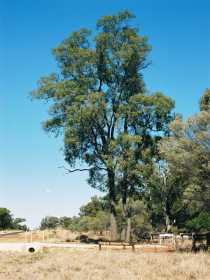 Charleville Self-Drive Itineraries - Accommodation Georgetown 1