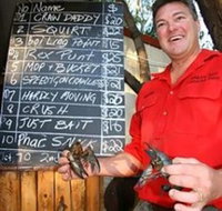 BAILEY BAR CARAVAN PARK - Accommodation Georgetown