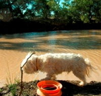 Charleville - 27 Mile Warrego River Fishing Spot - Accommodation Georgetown