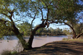 Charleville - 27 Mile Warrego River Fishing Spot - Accommodation Georgetown 4