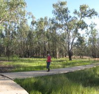 Ben Scott Memorial Bird Trail - Accommodation Georgetown