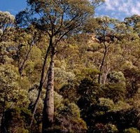 Ka Ka Mundi Carnarvon National Park - Accommodation Georgetown