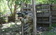 United Paintball - thumb 0
