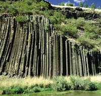 Organ Pipes National Park - Accommodation Georgetown