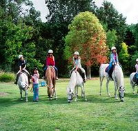 Limestone Coast Horseriding - Accommodation Georgetown