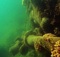 Wreck Diving at Magnetic Island - Accommodation Georgetown