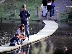 Valley Lake Conservation Park - Accommodation Georgetown 2