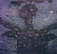 Quinkan Reserves Ancient Rock Art - Accommodation Georgetown