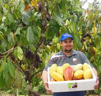 Sweet Farm Tours - Accommodation Georgetown