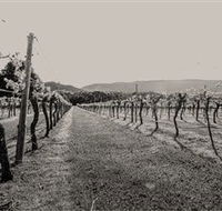 Halls Gap Estate - Accommodation Georgetown