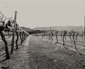 Halls Gap Estate - Accommodation Georgetown 0