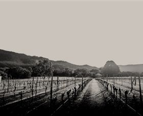 Halls Gap Estate - Accommodation Georgetown 1