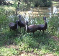East Tolans Farm Tour - Accommodation Georgetown