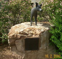 Dingo Statue - Accommodation Georgetown