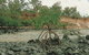 Garig Gunak Barlu National Park - thumb 3